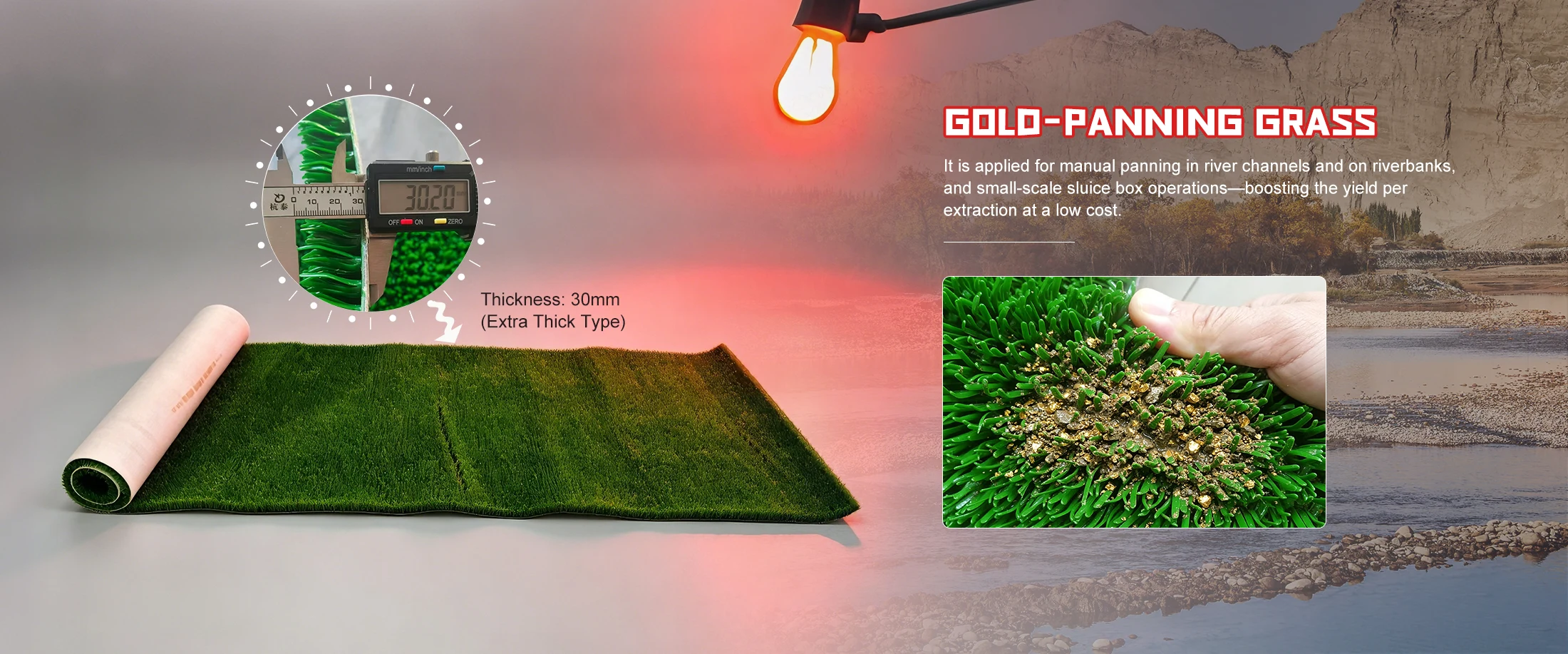 Kina Gold-panning Grass producent og leverandør